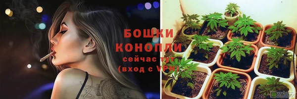 амф Аркадак
