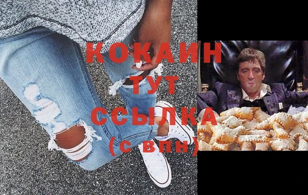 дживик Арсеньев