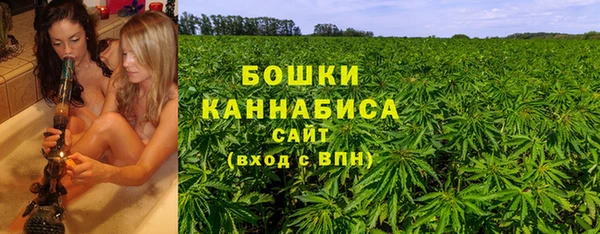 дживик Арсеньев