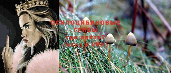 амф Аркадак