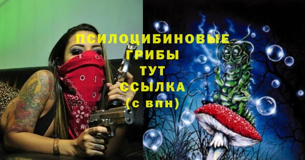 амф Аркадак