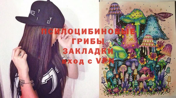 дживик Арсеньев