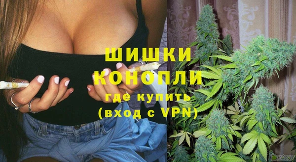 амф Аркадак