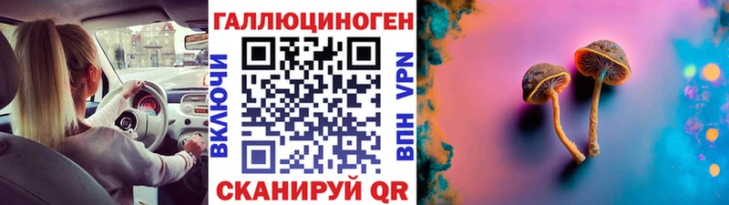 Псилоцибиновые грибы мицелий  что такое наркотик  KRAKEN онион  Устюжна 